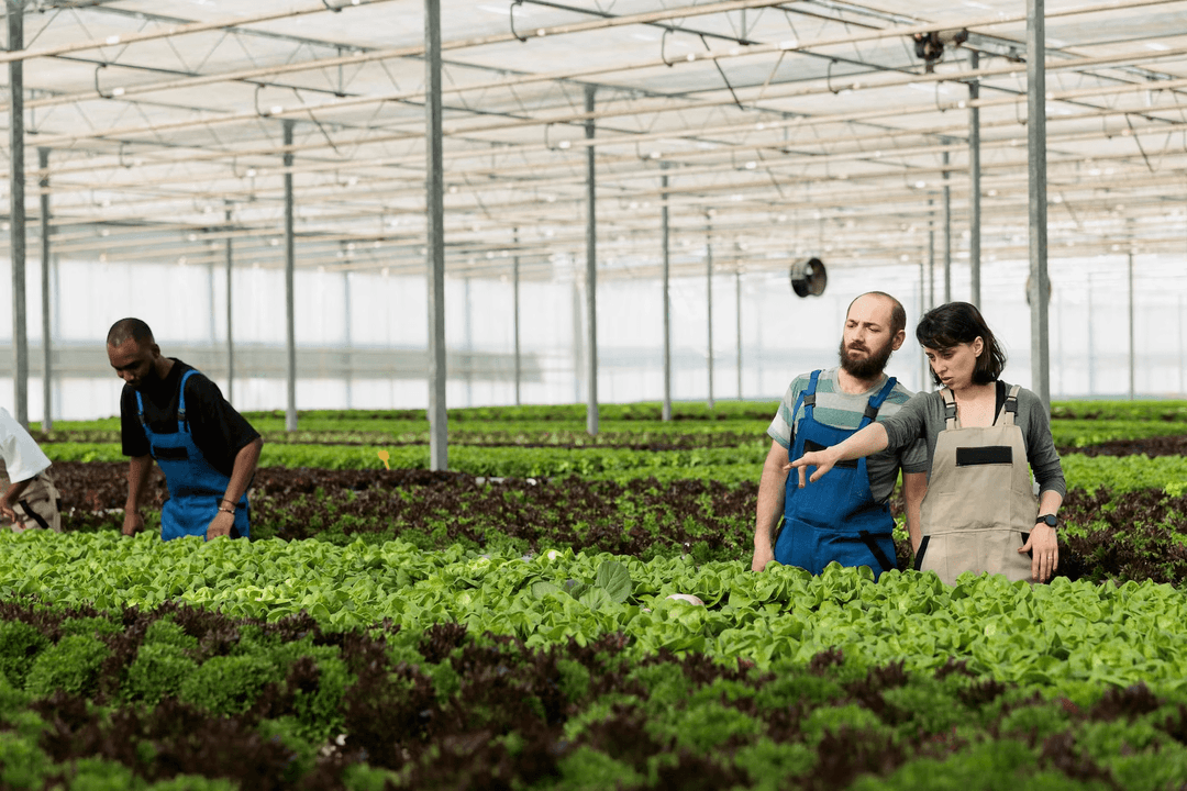 Greenhouse farming technology