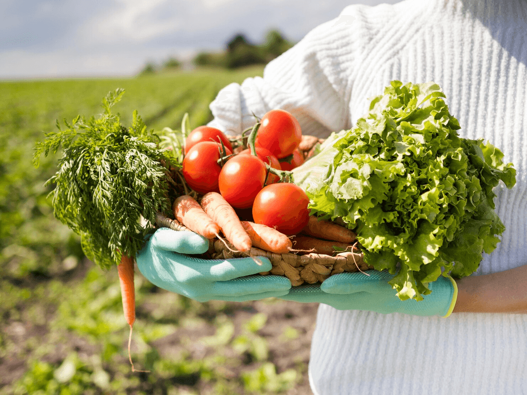 Organic produce in greenhouse