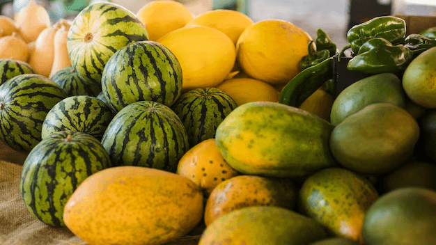 Farmer harvesting fresh vegetables